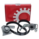 Alternativa 2 de Correa de distribución Peugeot Partner Xud9 136D